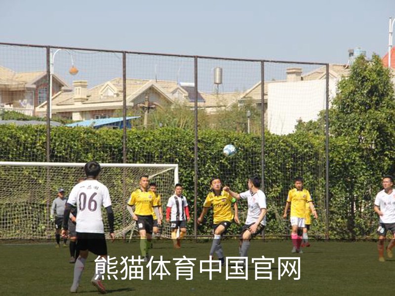 关于熊猫体育中国官网